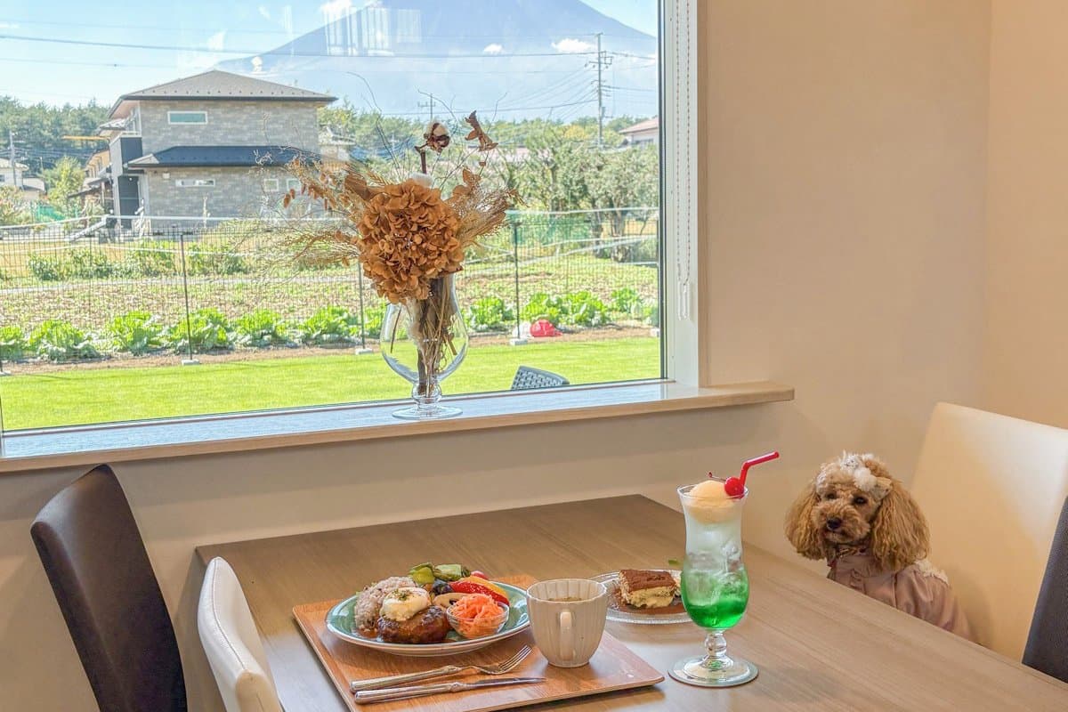 【3POZZO cafe / 忍野村】天然芝と室内ドッグラン完備!ワン友と行きたいリゾートカフェ2026年10月10日オープン