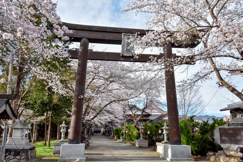 富士御室浅間神社の桜【富士河口湖町】 | 山梨の桜名所・お花見