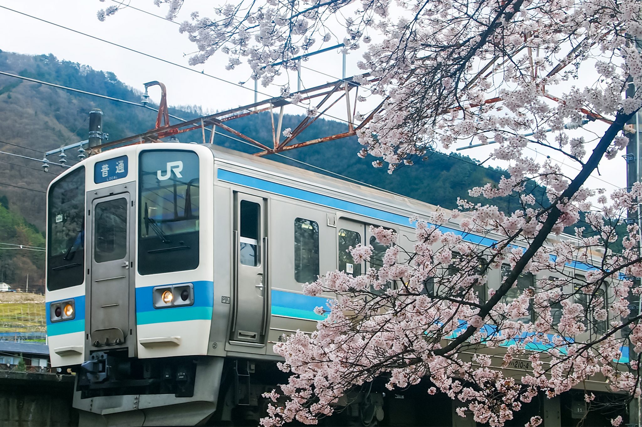 かつぬまぶどう郷駅 甚六桜 甲州市 山梨のさくらの名所 Porta