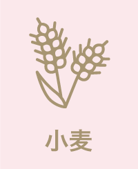 小麦　対応可