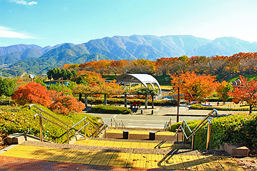 山梨県曽根丘陵公園