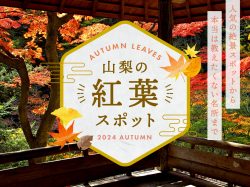 山梨の人気紅葉スポット2024秋～富士との競演や知られざる穴場まで