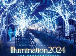 [ さくら温泉通りイルミネーション2024〜この冬、石和温泉で満開の光の中を歩く〜 ]