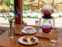 【ROSA MAISON / 笛吹市】バラの庭園でバラ香るお茶とお菓子を…2025年4月24日オープン